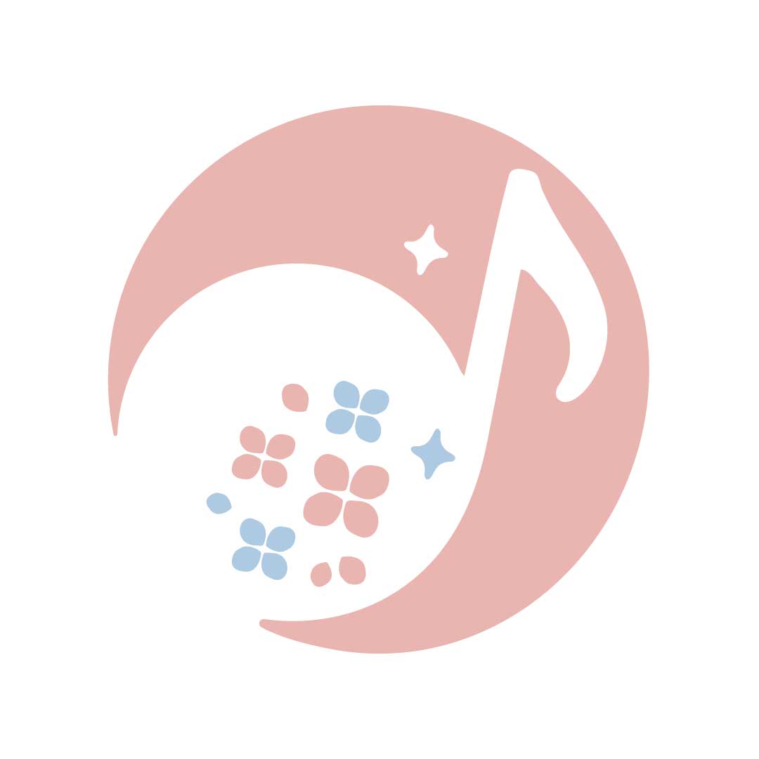 津田沼のピアノ・リトミック教室　つだぬまミュージックスクール